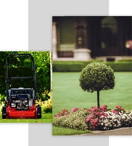 Reliable yard cleanup service in Hammond, IN - L A Rentals