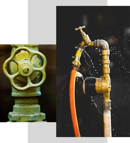 Trusted landscaping services near you across Hammond, IN - L A Rentals