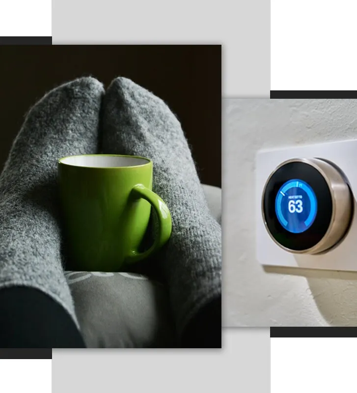 Affordable landscape design in Hammond, IN - L A Rentals