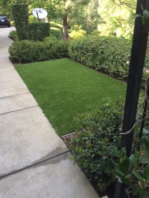 Trusted residential landscaping in West Hollywood, CA - L. A. Turf Company