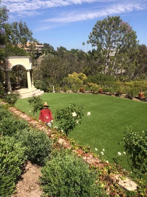 Reliable yard maintenance near you across West Hollywood, CA - L. A. Turf Company