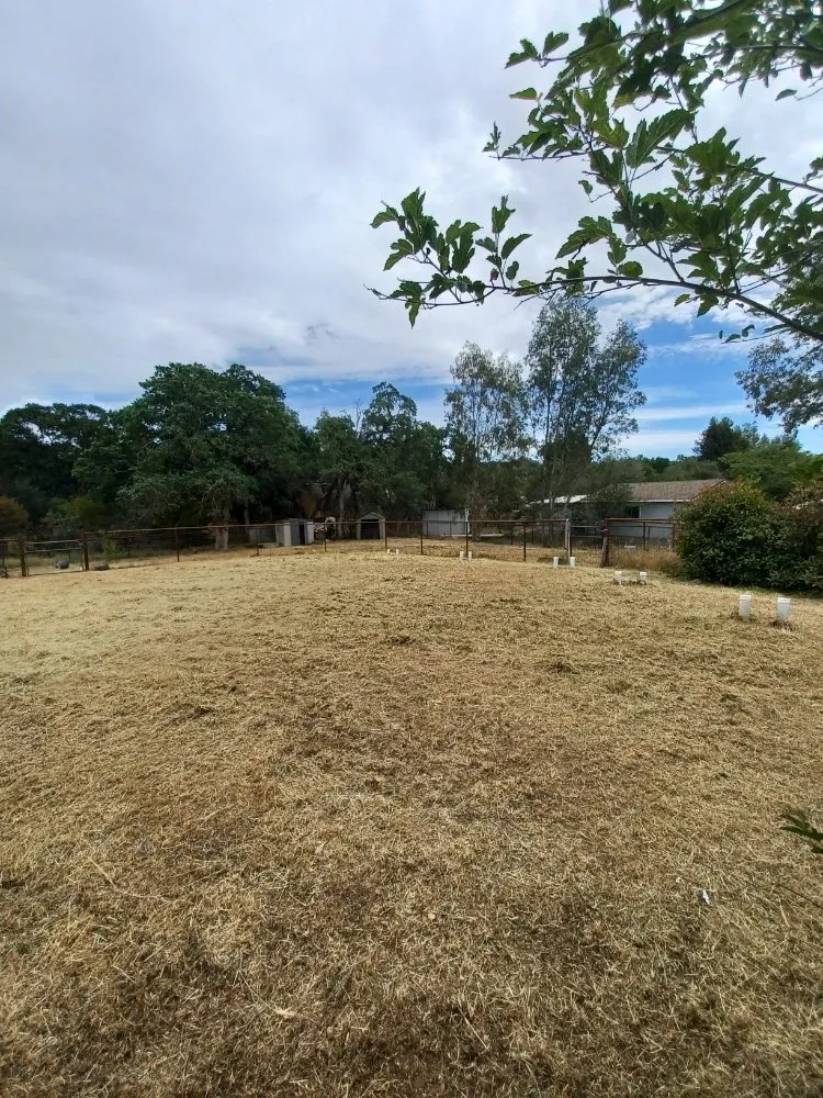 Affordable lawn care service in Rancho Calaveras, CA by L. A. W. Weedeating and Yard Cleaning Services