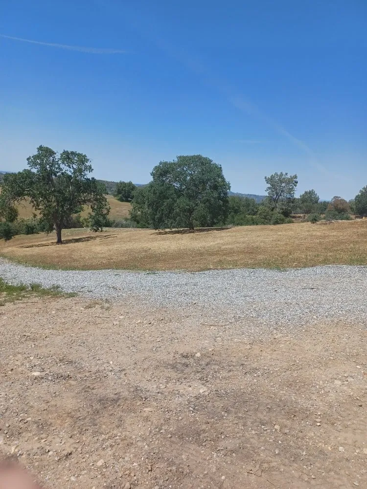 Top-rated garden landscaping in Rancho Calaveras, CA - L. A. W. Weedeating and Yard Cleaning Services