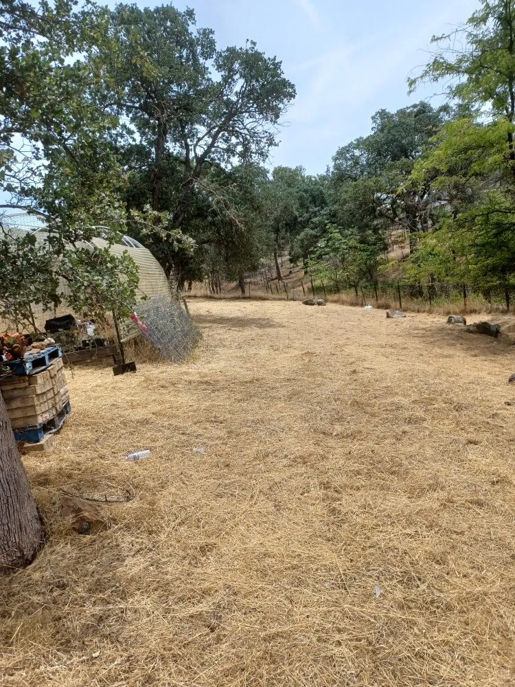 Trusted residential landscaping in Rancho Calaveras, CA - L. A. W. Weedeating and Yard Cleaning Services