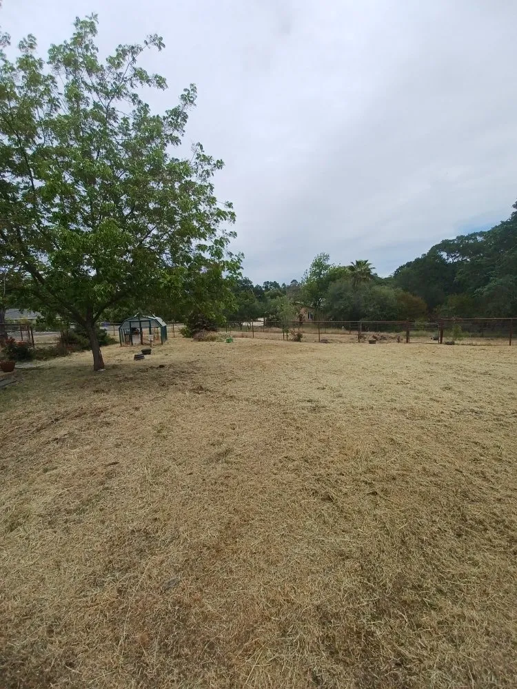 Expert outdoor landscaping with custom design in Rancho Calaveras, CA by L. A. W. Weedeating and Yard Cleaning Services