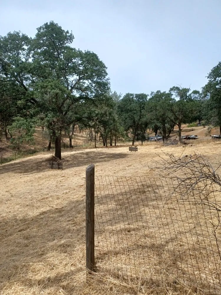 Top-rated yard cleanup service experts serving Rancho Calaveras, CA - L. A. W. Weedeating and Yard Cleaning Services