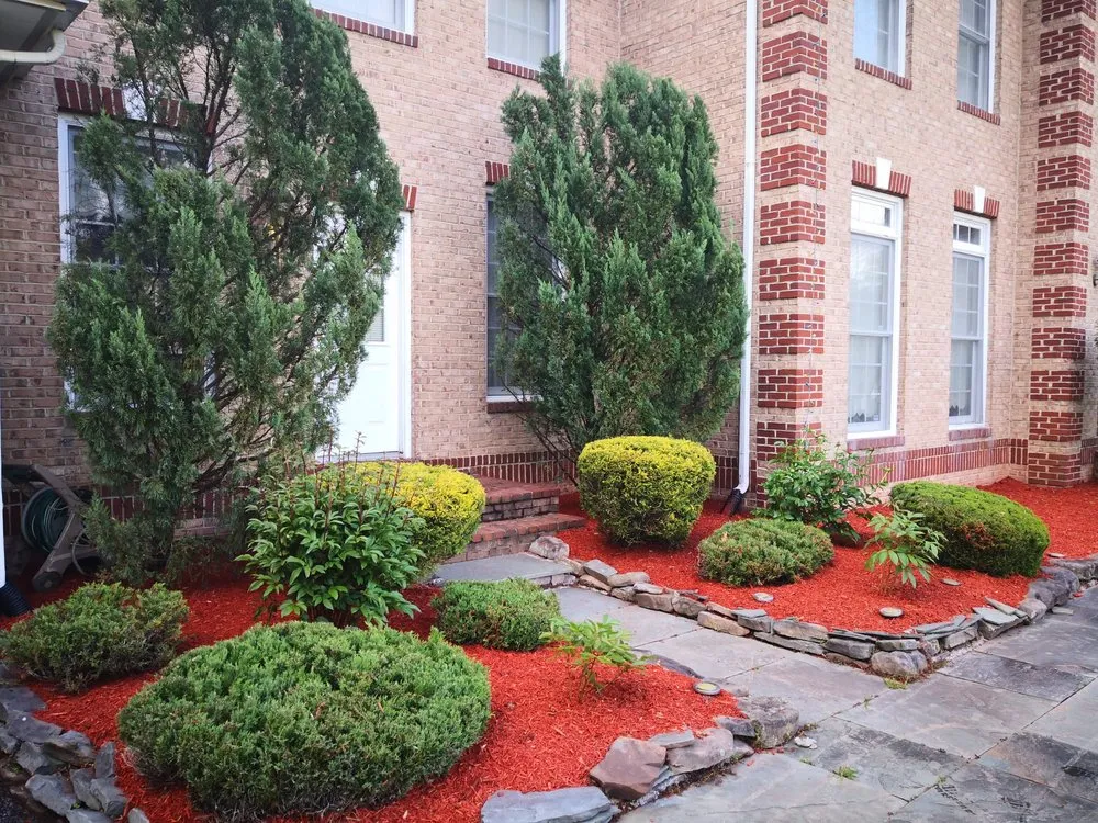 Expert landscaping services experts serving Jacksonville, FL - L Alves Services