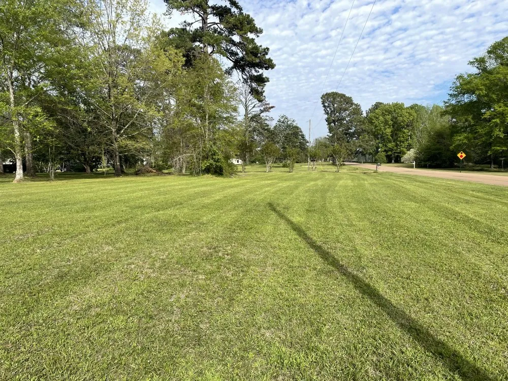 Reliable garden landscaping for beautiful yards across Jackson, MS - L And D Lawn Care And Pressure Washing
