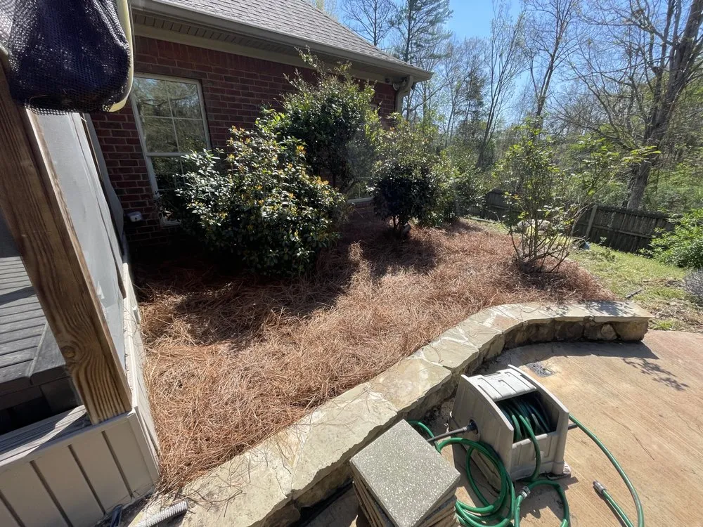 Reliable lawn mowing service with custom design across Jackson, MS - L And D Lawn Care And Pressure Washing