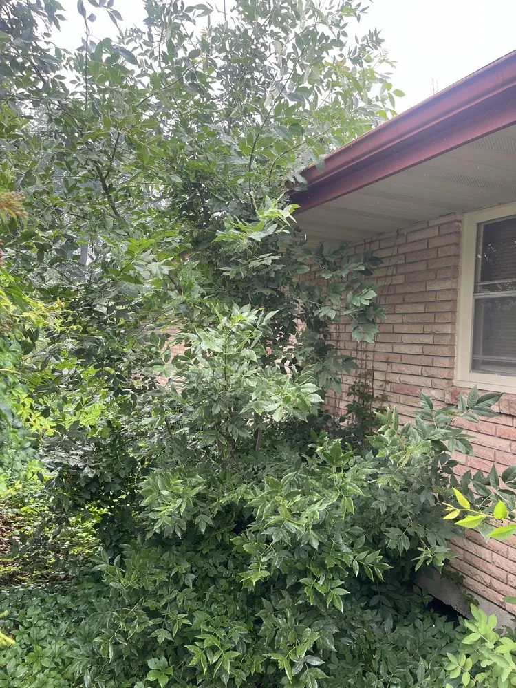 Expert residential landscaping in Moorhead, MN by L and K Outdoor