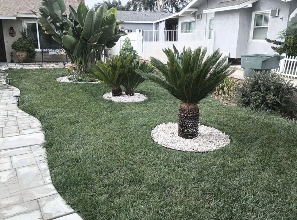 Affordable outdoor landscaping for beautiful yards in Jurupa Valley, CA by L and L Landscaping