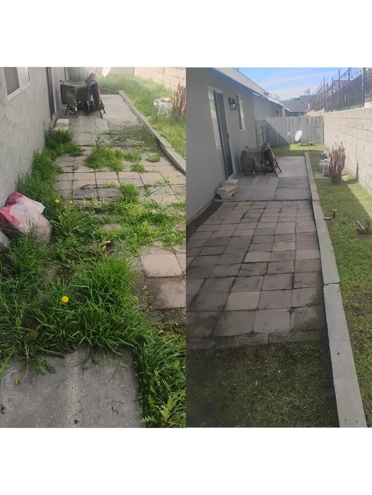 Expert yard maintenance in Jurupa Valley, CA by L and L Landscaping