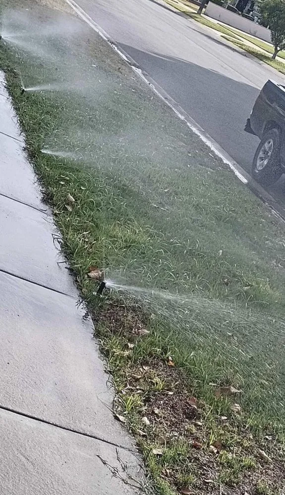 Trusted yard cleanup service experts serving Jurupa Valley, CA - L and L Landscaping