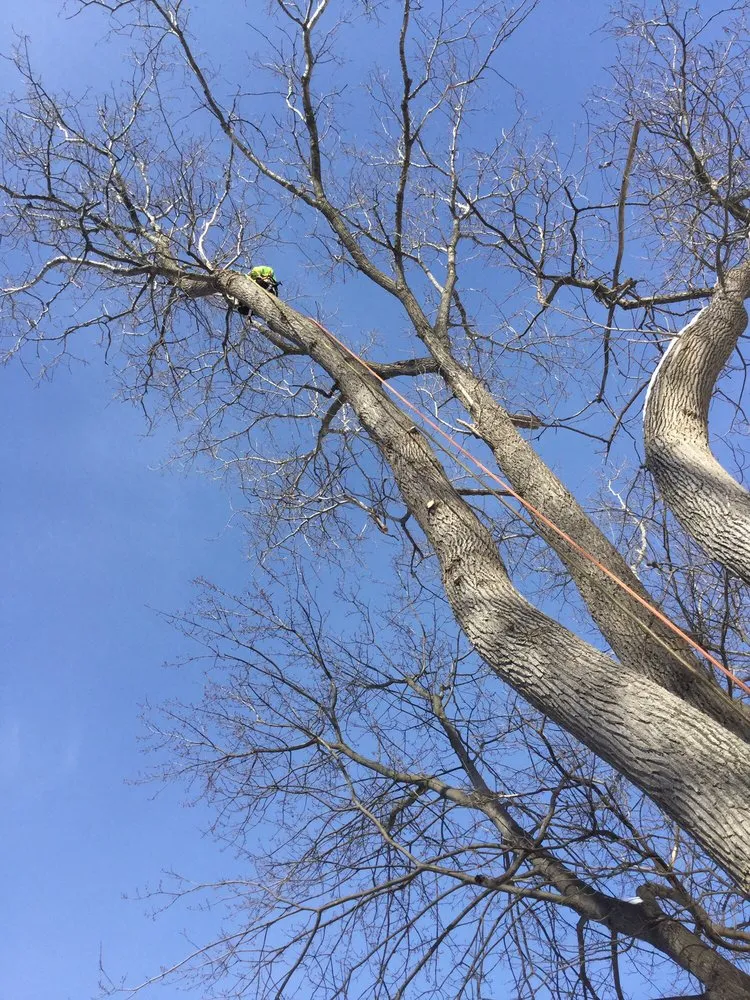 Affordable landscape design for outdoor upgrades across Lake Orion, MI - L and L Tree Service