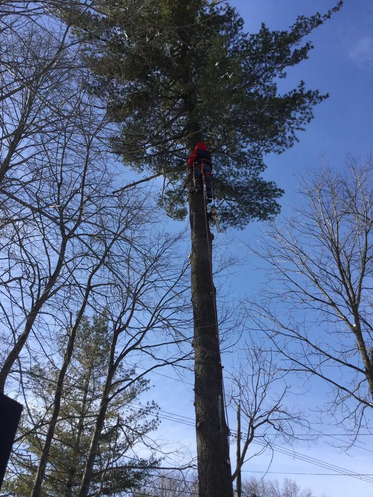 Professional landscaping services in Lake Orion, MI by L and L Tree Service