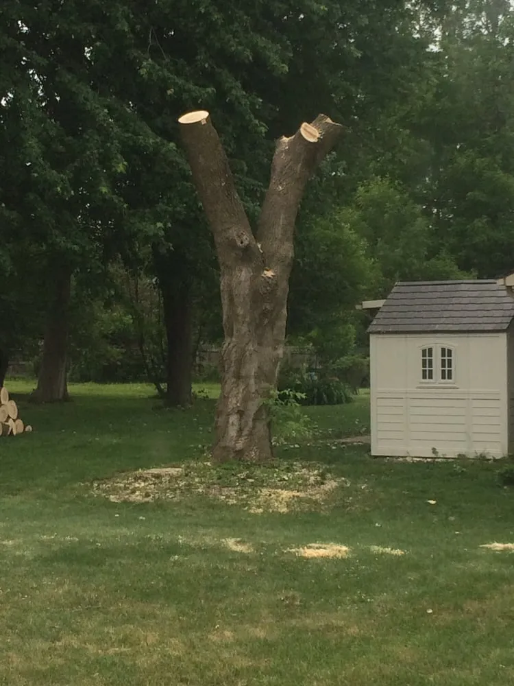 Professional yard cleanup service for outdoor upgrades across Lake Orion, MI - L and L Tree Service