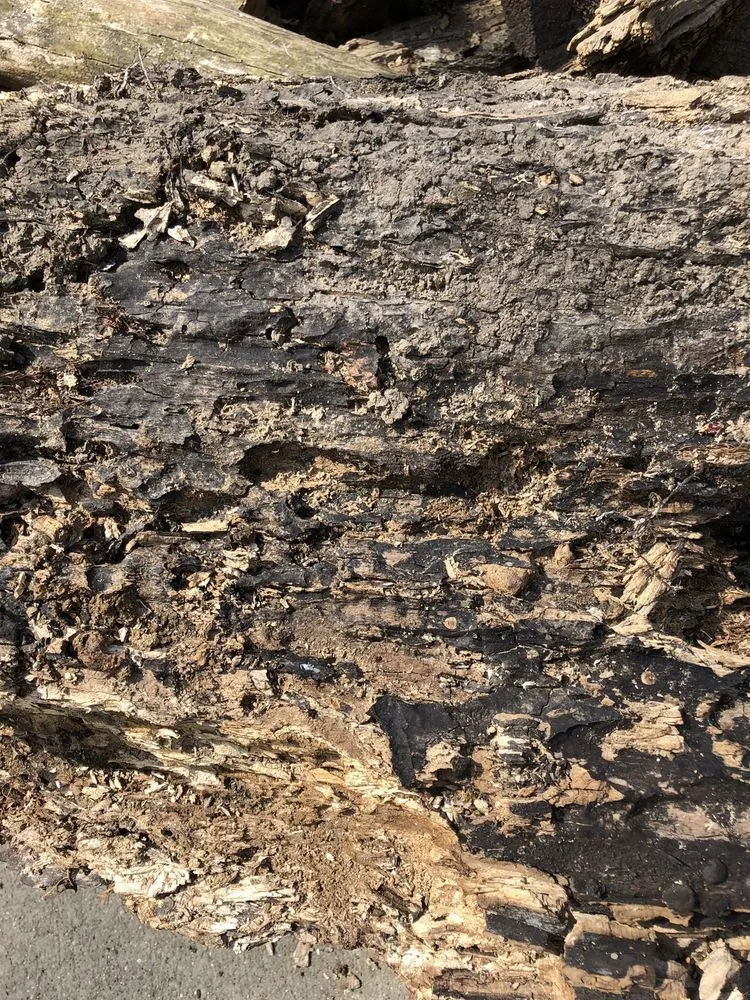 Custom residential landscaping in Lake Orion, MI - L and L Tree Service