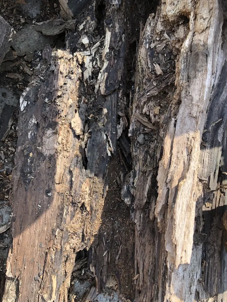 Trusted garden landscaping experts serving Lake Orion, MI - L and L Tree Service