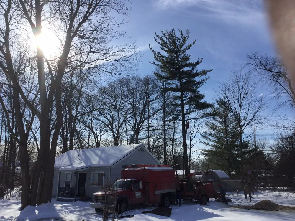 Reliable lawn care service in Lake Orion, MI - L and L Tree Service