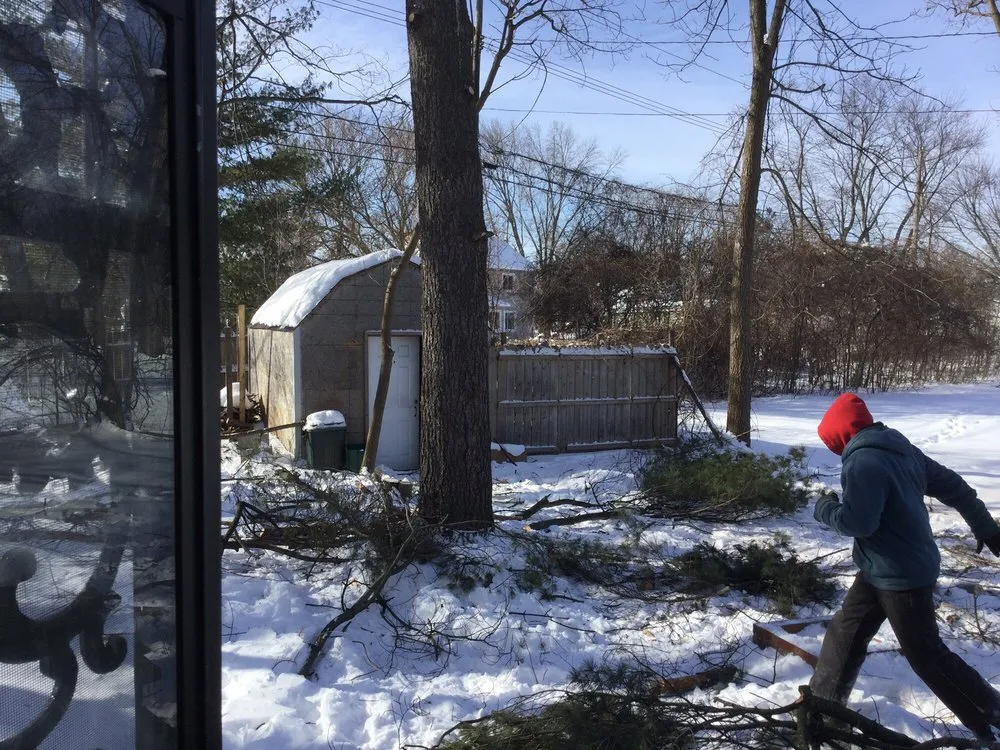 Affordable yard maintenance for beautiful yards in Lake Orion, MI by L and L Tree Service