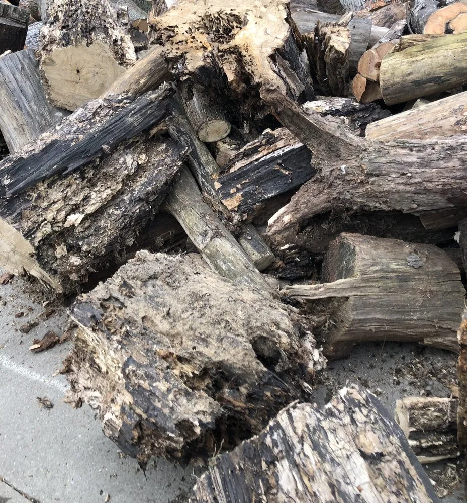 Trusted yard maintenance in Lake Orion, MI - L and L Tree Service