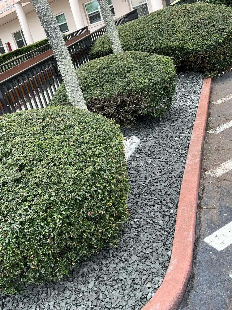 Professional yard maintenance near you in St. Petersburg, FL by L and M Complete Care