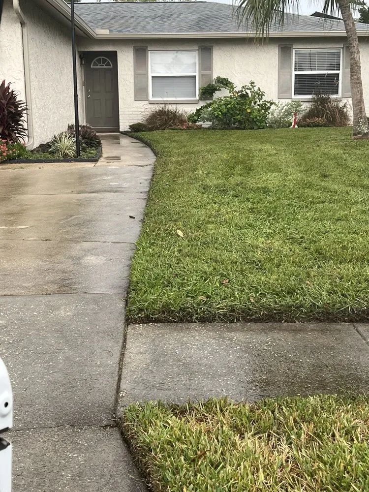 Professional yard maintenance experts serving St. Petersburg, FL - L and M Complete Care