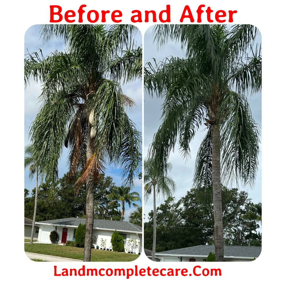 Top-rated landscape design in St. Petersburg, FL by L and M Complete Care
