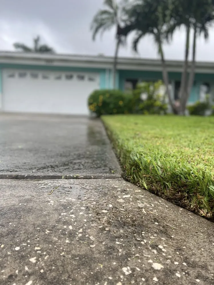 Professional lawn care service in St. Petersburg, FL by L and M Complete Care