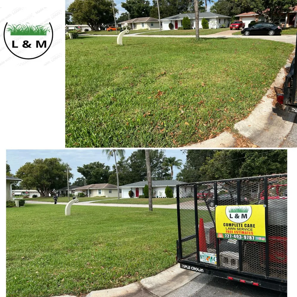 Affordable landscaping services for year-round maintenance across St. Petersburg, FL - L and M Complete Care