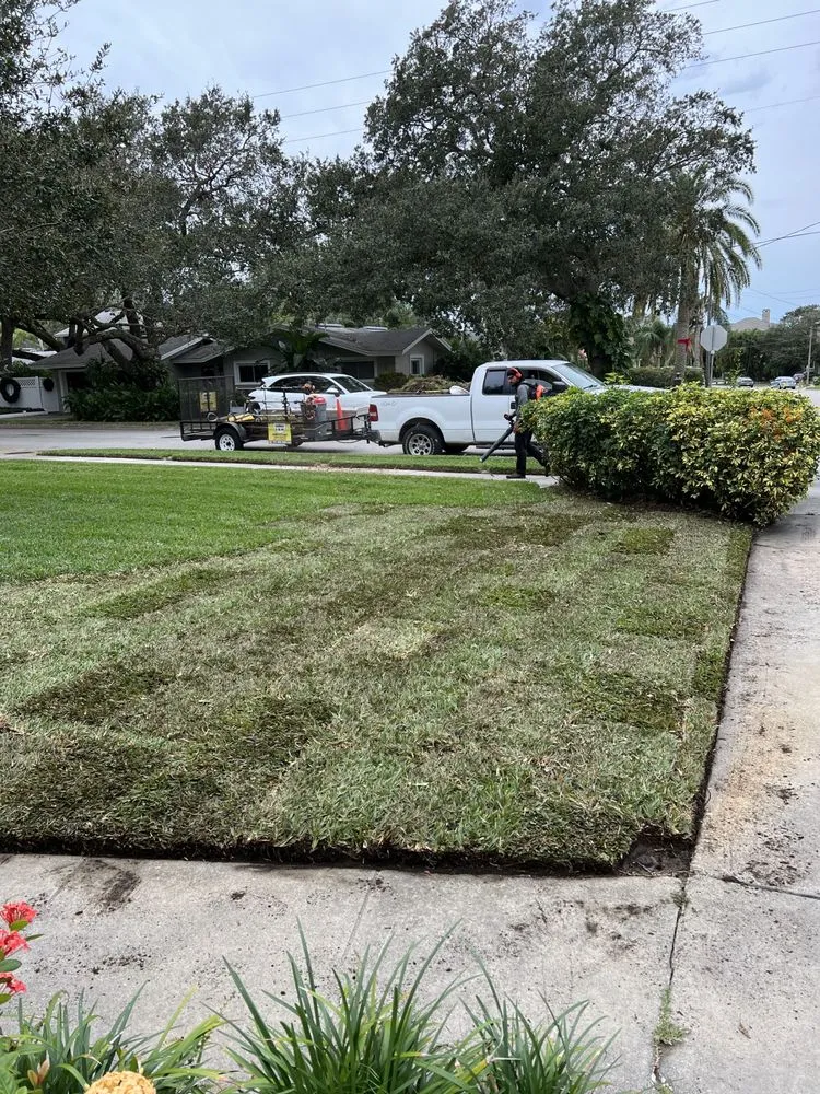 Reliable residential landscaping experts serving St. Petersburg, FL - L and M Complete Care