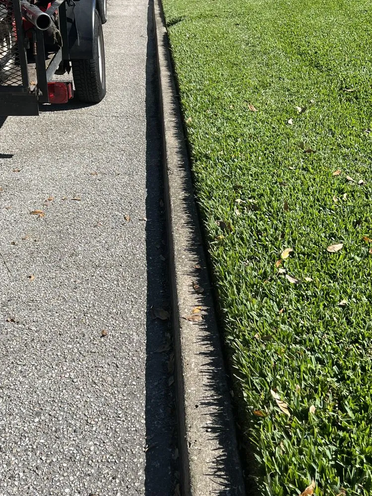 Reliable landscape design experts serving St. Petersburg, FL - L and M Complete Care