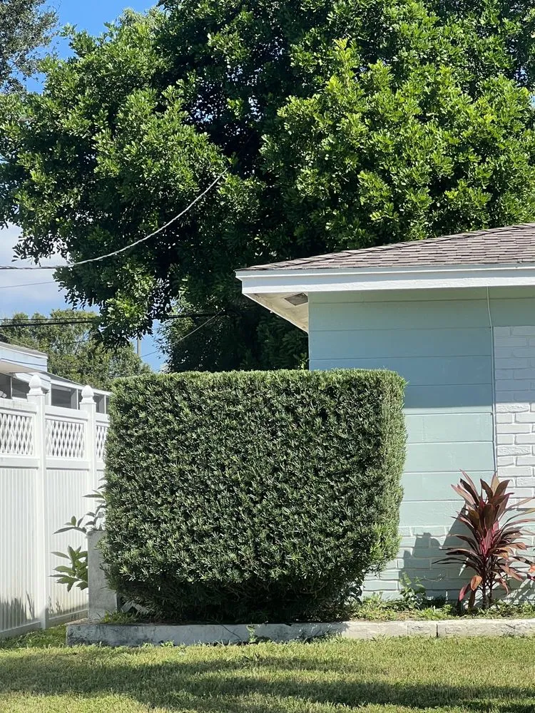 Top-rated lawn mowing service with custom design in St. Petersburg, FL by L and M Complete Care