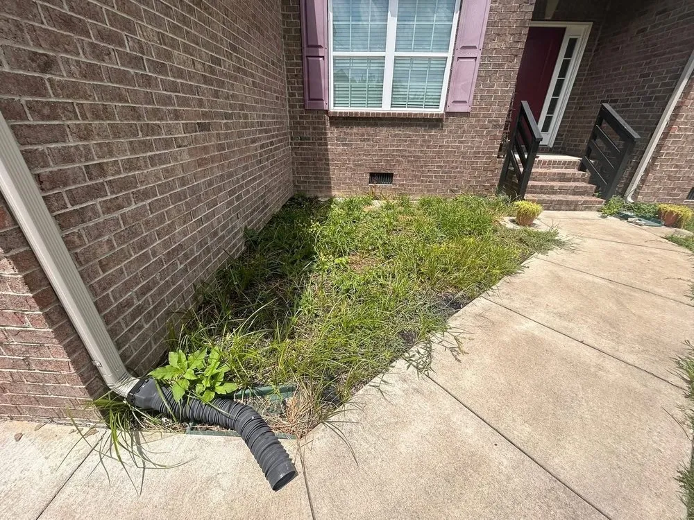 Top-rated yard maintenance experts serving Franklin, TN - L and M Landscaping