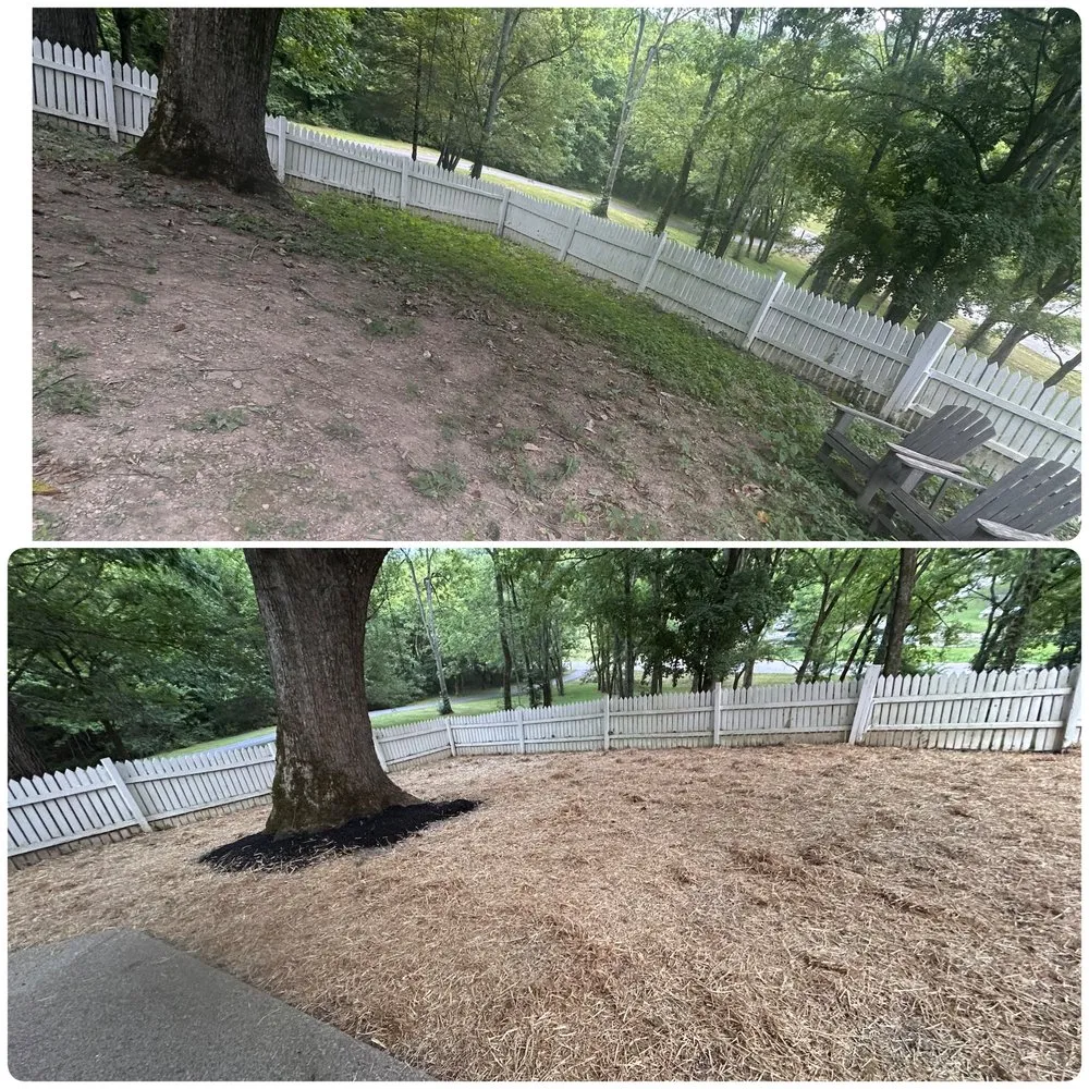 Affordable landscape design in Franklin, TN - L and M Landscaping