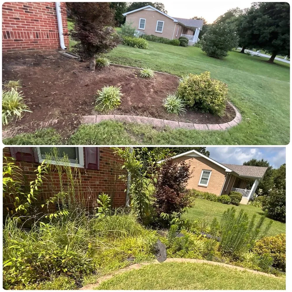 Local yard maintenance experts serving Franklin, TN - L and M Landscaping