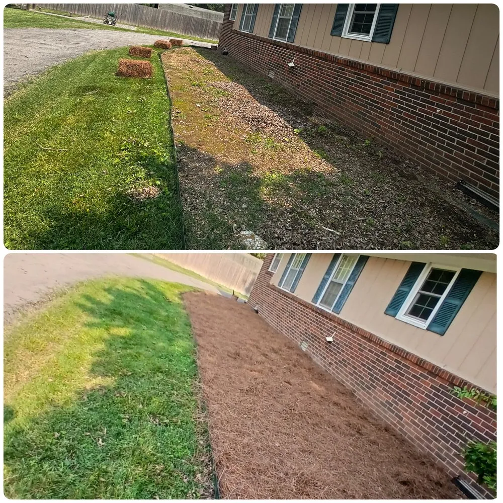 Top-rated yard cleanup service in Franklin, TN by L and M Landscaping