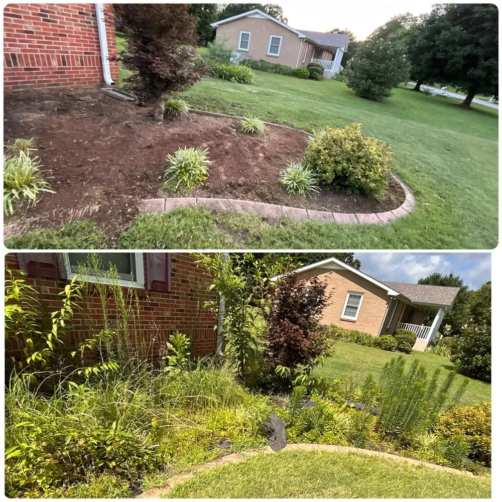 Top-rated lawn care service in Franklin, TN - L and M Landscaping