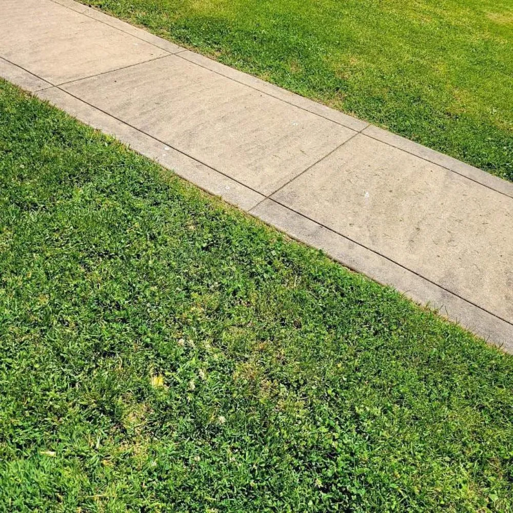 Expert outdoor landscaping in Henderson, KY by L And M Lawncare And Maintenance