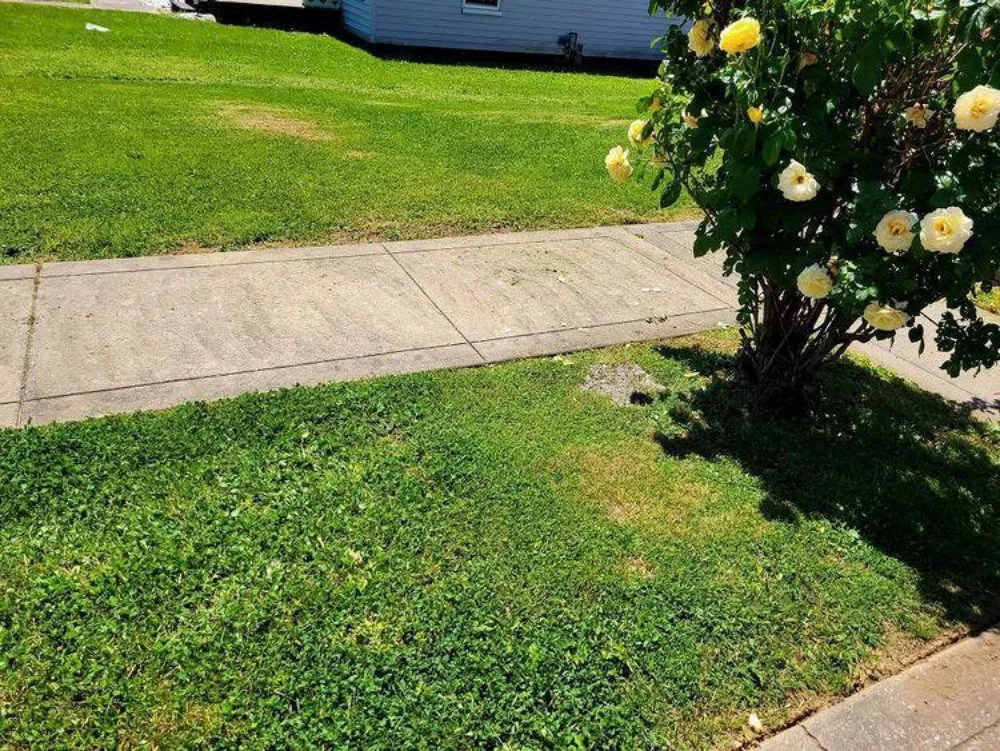 Expert outdoor landscaping for homes in Henderson, KY by L And M Lawncare And Maintenance