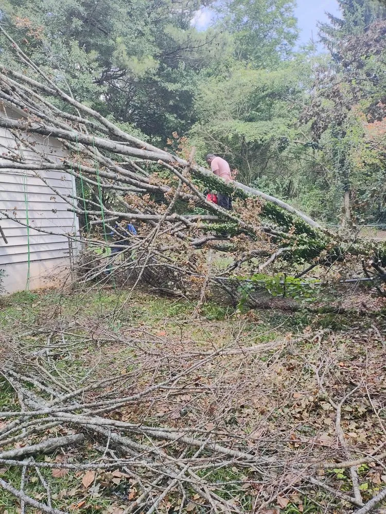 Professional lawn care service in Lithonia, GA by L and X General Services