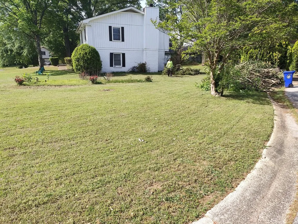 Expert yard cleanup service experts serving Lithonia, GA - L and X General Services