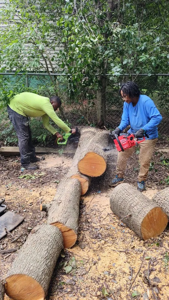 Expert yard cleanup service experts serving Lithonia, GA - L and X General Services