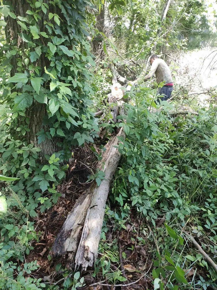 Local lawn mowing service in Lithonia, GA by L and X General Services