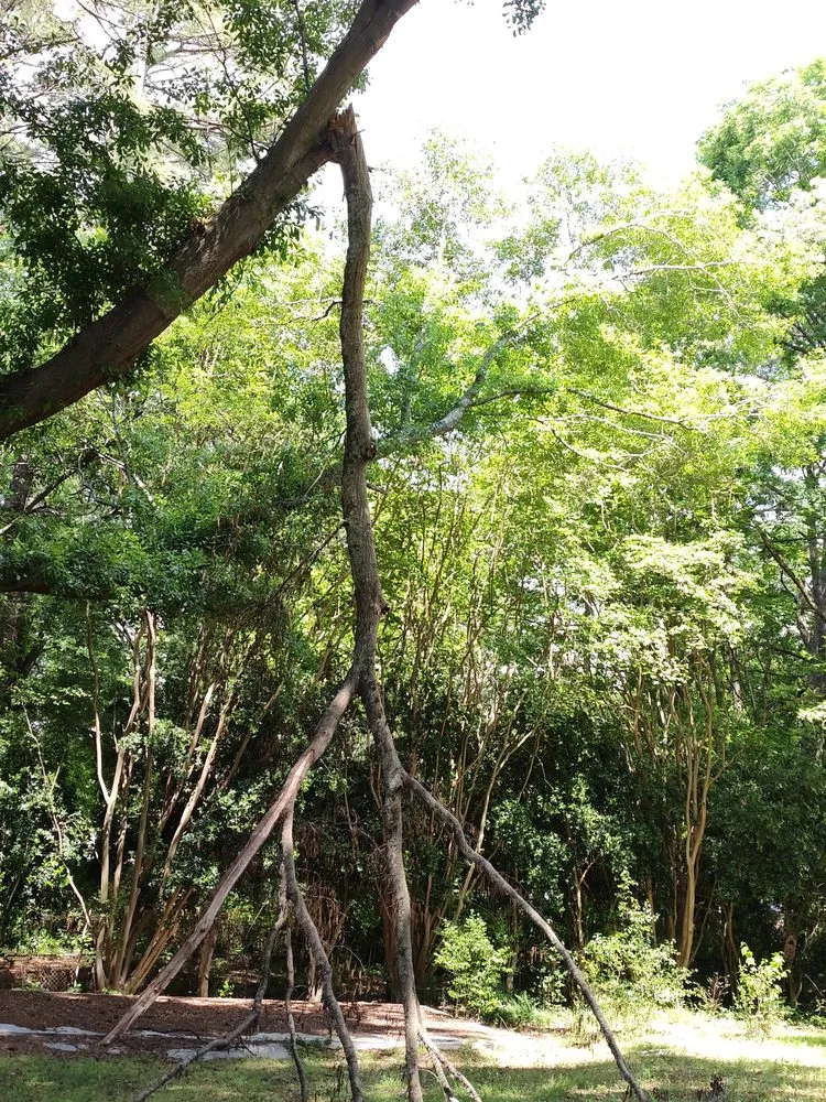 Affordable garden landscaping for homes in Lithonia, GA by L and X General Services