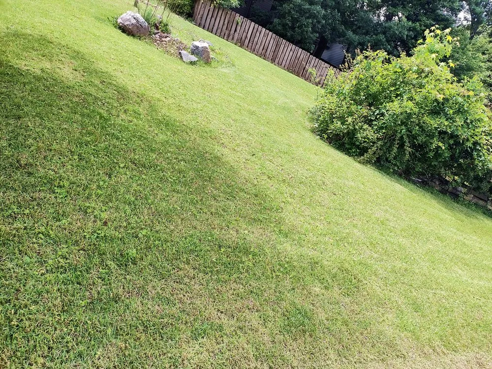 Professional landscape installation for homes across Lithonia, GA - L and X General Services