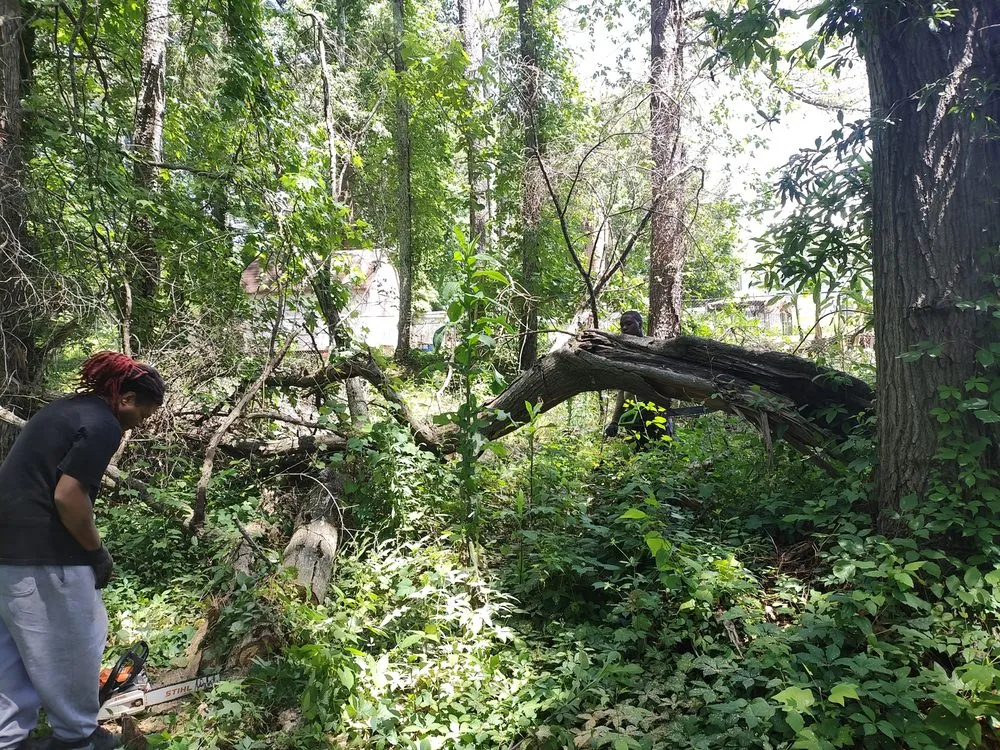 Local garden landscaping for outdoor upgrades in Lithonia, GA by L and X General Services