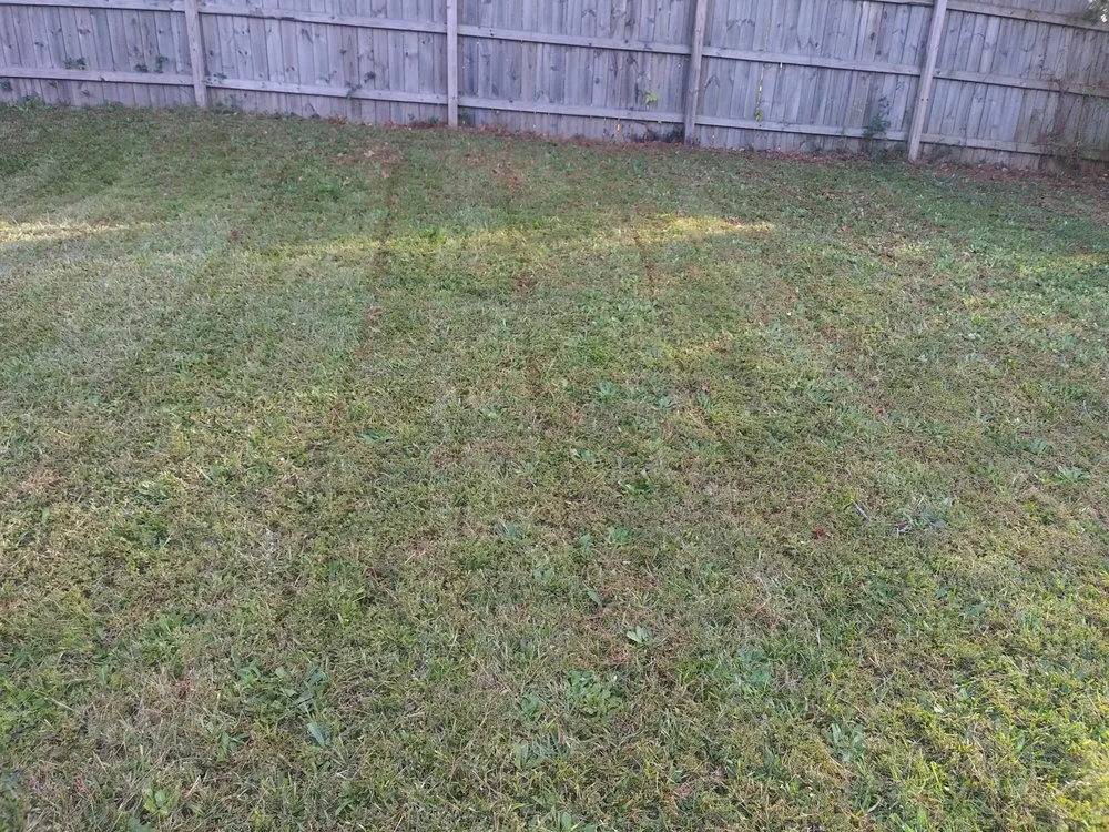 Trusted landscape design experts serving Lithonia, GA - L and X General Services