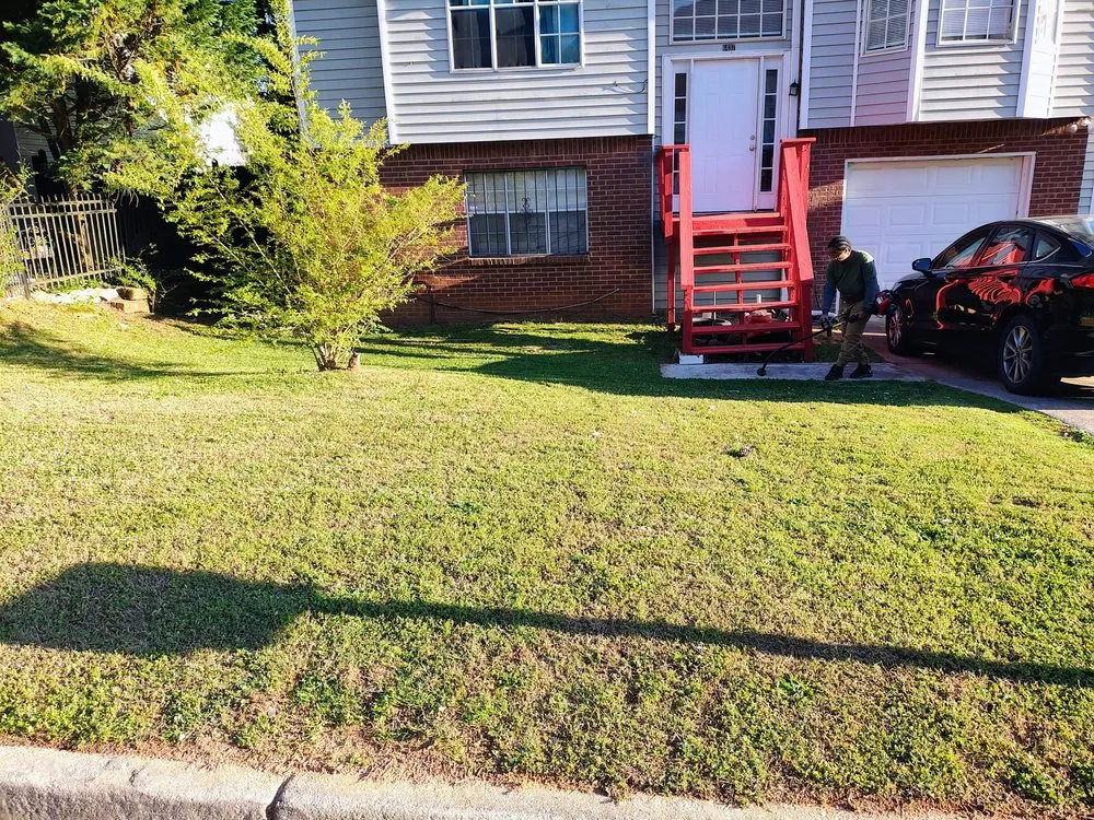 Expert yard cleanup service with custom design in Lithonia, GA by L and X General Services