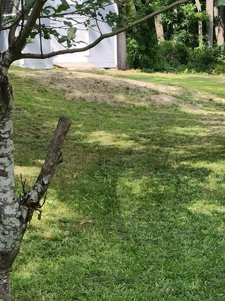 Local landscape design in Lithonia, GA - L and X General Services